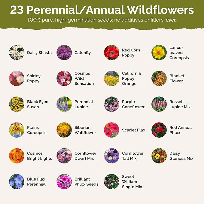 Eden Brothers New Hampshire Wildflower Mixed Seeds for Planting, 1/4 lb, 120,000+ Seeds with Cosmos, Lupine | Attracts Pollinators, Plant in Spring or Fall, Zones