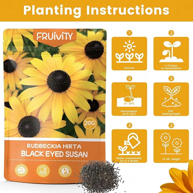 48000+ Black Eyed Susan Seeds for Planting, Perennial Wildflower Seeds for Pollinator Gardens, Heirloom Flower Seeds to Plant Outside & Inside, Borders, Containers, Rudbeckia hirta
