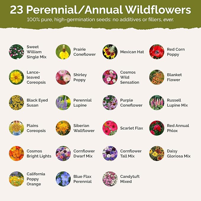 Eden Brothers Kansas Wildflower Mixed Seeds for Planting, 1 oz, 30,000+ Seeds with Candytuft, Cosmos | Attracts Pollinators, Plant in Spring or Fall, Zones