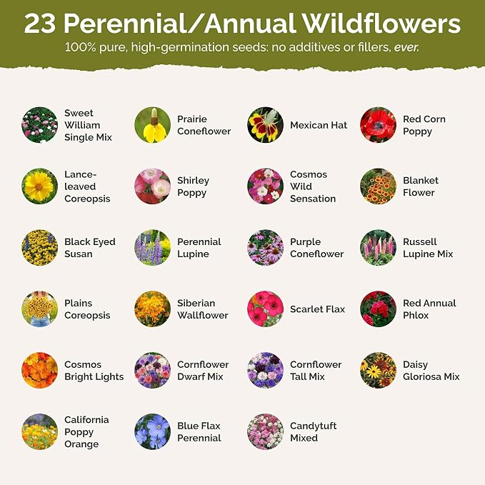 Eden Brothers Nebraska Wildflower Mixed Seeds for Planting, 1 oz, 30,000+ Seeds with Candytuft, Blanket Flower | Attracts Pollinators, Plant in Spring or Fall, Zones