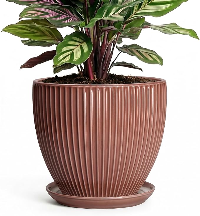 Ceramic Pots for Plants 6 Inch, Ceramic Plant Pots Indoor with Drainage Hole and Saucer, Modern Flower Pot, Round Decorative Planter, Living Room Home Decor, House Warming Gifts, Rust Red