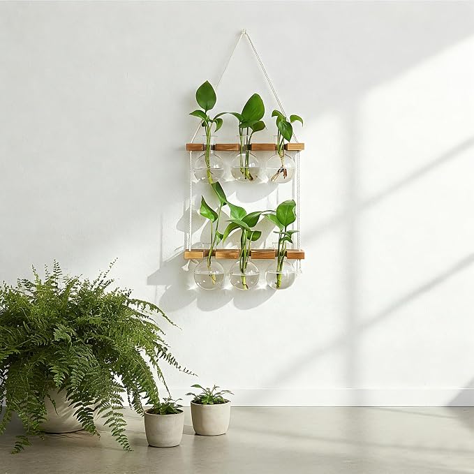 Renmxj Plant Propagation Station Wall Hanging with 2 Tiered Wooden Stand | Plant Terrarium for Hydroponics Plants, Unique Gardening Gifts for Women Mom Plants Lovers - 6 Bulb Glass Vases