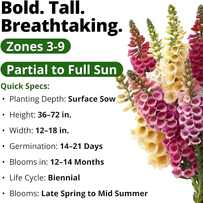 HOME GROWN Foxglove Seeds Mix 148,500 Bulk Mixed Color Flower Seeds 15g for Planting Outdoors Spring 2026, Perennial Wildflowers for Cottage Gardens, Borders & Pollinator Gardens (Digitalis purpurea)