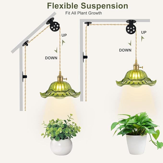 Hanging Grow Lights for Indoor Plants, 12W Full Spectrum 98+ CRI Grow Lamp, Dual CCT 3000K/4000K, Dual Switches, Pulley Height Adjustable, 14.76FT Cord, Petal Glass Plant Light for Indoor Flowers