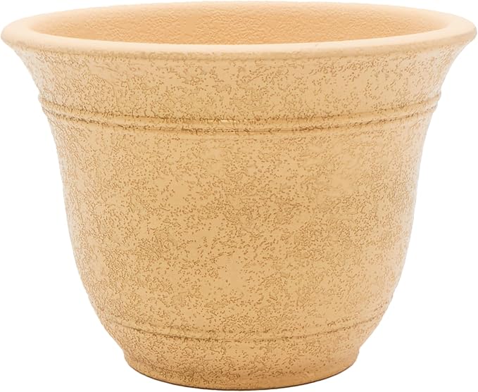 The HC Companies Sierra Round Self-Watering Pot - Lightweight Plastic Planter for Herbs & More - Durable Plant Pots for Indoor Plants & Outdoor Plants (10” Arizona Sand, Pack of 1)