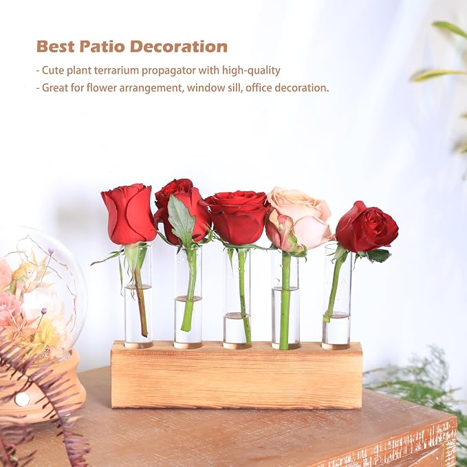 KAXYEW Plant Propagation Station, Plants Propagation Tubes, Gifts for Plant Lovers, Plants Cutting Holder Test Tube Vase Office Desk Garden Décor Gift for Her Mom Women Hydroponic Vase New Gift Box