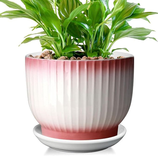 8 Inch Plant Pot, Ceramic Planter with Drainage and Saucer, Ceramic Pots for Plants, Indoor Plant pots,Flower pots(Pink + White, Plants NOT Included)