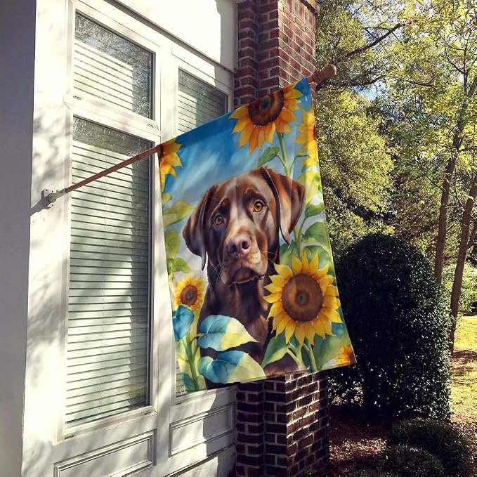 Caroline's Treasures DAC6110CHF Labrador Retriever in Sunflowers House Flag Large Porch Sleeve Pole Decorative Outside Yard Banner Artwork Wall Hanging, Polyester, House Size, Multicolor
