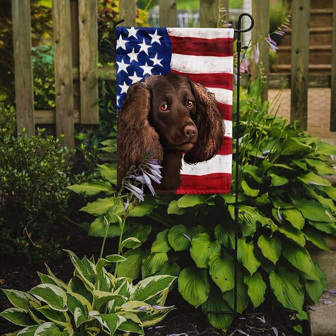 Caroline's Treasures CK6402GF American Water Spaniel American Flag Garden Flag Mailbox Flag Decorative Yard Flag Banner Outside Patio Artwork Yard Flower Beds, Garden Size, Multicolor