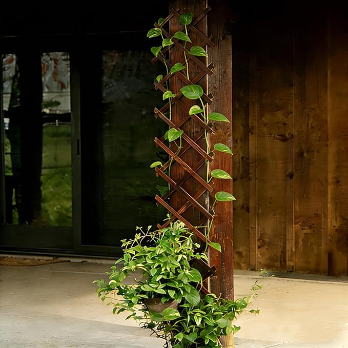 4Pcs Expandable Garden Trellis, 13" x 68" Thickened Wooden Lattice Trellis for Climbing Plants Outdoor Ivy Vine Rose Clematis for Garden Fence Wall Patio Room Decor (4Pcs Brown)