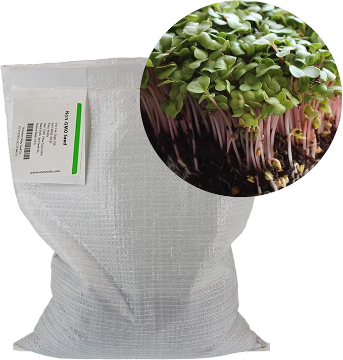 Mountain Valley Seed Co Radish Sprouting Seed - Red Arrow Variety - 5 Lb | Bulk Seed - Heirloom Radish Sprouts - Non-GMO Sprouting and Micro Radishes