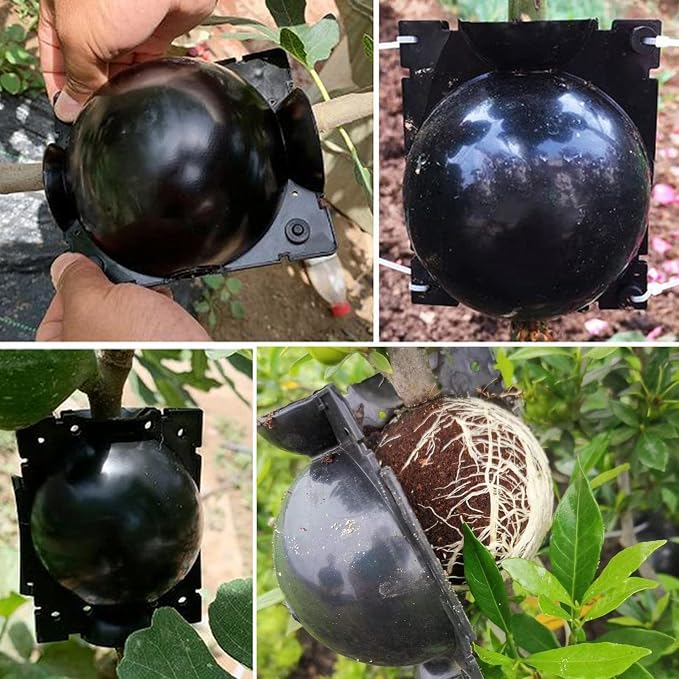 12 PCS Plant Root Growing Box, Reusable Air Layering Propagation Kit Rooting Ball Grafting Tools for Plant Propagation