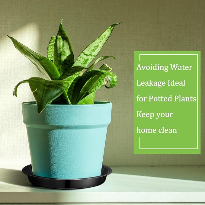 Eccliy 12 Pcs Plastic Plant Saucers Round Plant Tray Large Flower Pot Heavy Duty Planter Water Trays Thick Planter Drip Saucers for Indoors and Outdoors(6 Inch,Black)