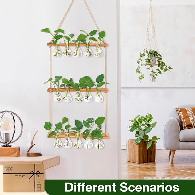 XXXFLOWER Wall Hanging Propagation Station with Wooden Stand 5 Bulb Vase 3 Tiers Planters Wall Terrarium for Home Office Plant Hanger Flower Vases Wall Decor