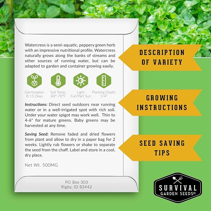 Watercress Seeds for Planting - Heirloom Aquatic Herb Greens - Non-GMO Nasturtium Officinale for Hydroponic Growing - Survival Garden Seeds (2 Packs)