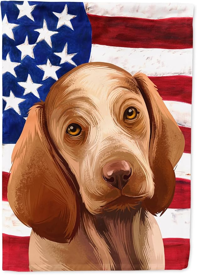 Caroline's Treasures CK6456CHF Bracco Italiano Dog American Flag House Flag Large Porch Sleeve Pole Decorative Outside Yard Banner Artwork Wall Hanging, Polyester, House Size, Multicolor