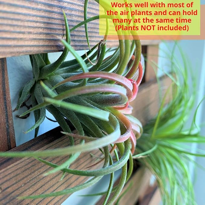 ShopLaLa Wall Planter - Wooden Hanging Planter for Indoor Plants, Plant Stand, Air Plant Succulent Holder, Vertical Garden. Large Wall Decor for Living Room, Room Decor for Teens, 90cm (35.4")