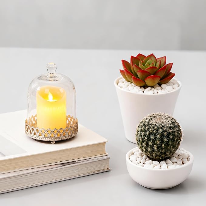 Twakutwku 8" Tall Large Sturdy Handmade Glass Cloche Dome with Metal Base in Shabby White for Plant, Terrarium, Collectibles, Candle. Cloche Glass Dome, Bell Jar Display Case (Shabby White, 8")