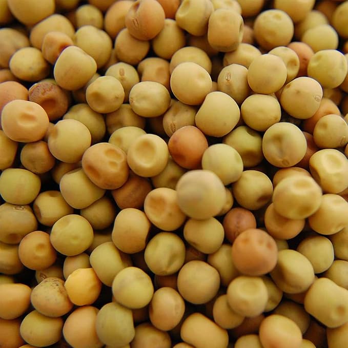 Dun Pea Seeds – 18 g LB Bulk – Non-GMO, High-Germination for Microgreens, Pea Shoots, Cover Crop, & Gardening – Sweet & Crisp Sprouts, Protein-Rich Fodder, Fast-Growing Green Manure, Soil Enrichment