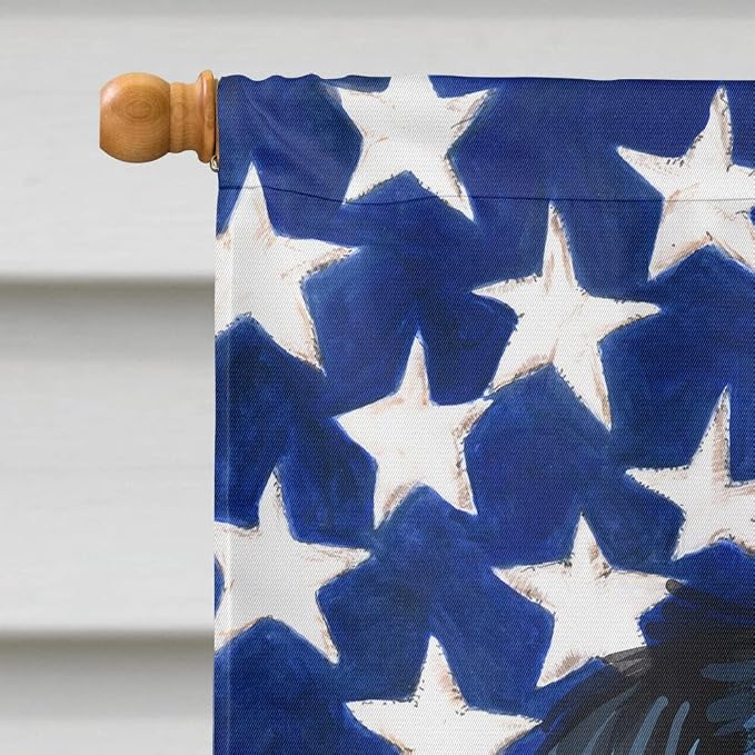 Caroline's Treasures CK6723CHF Stabyhoun Dog American Flag House Flag Large Porch Sleeve Pole Decorative Outside Yard Banner Artwork Wall Hanging, Polyester, House Size, Multicolor
