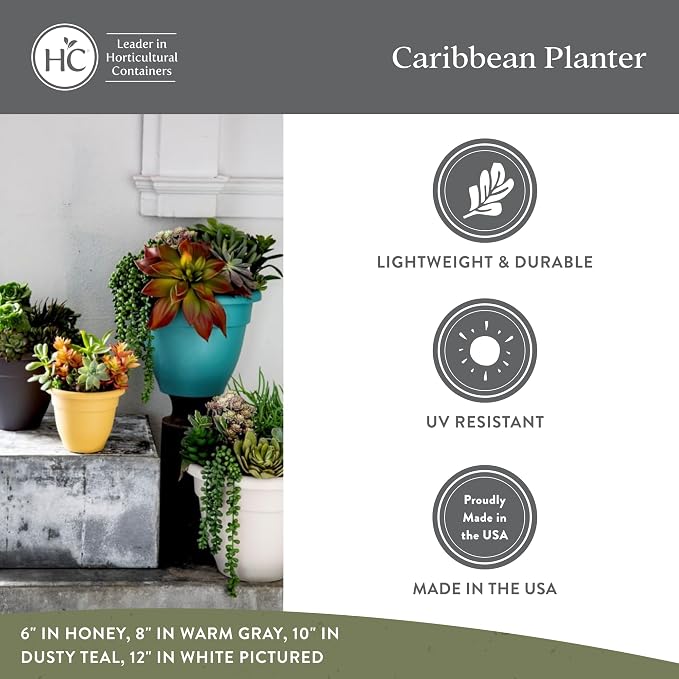 The HC Companies Caribbean Planter Pot - Outdoor & Indoor Plant Pot with Drainage Hole & Plug - Rolled Rim Plastic Pots for Plants & Flowers - Decorative Plant Pot (12" Black, Pack of 1)