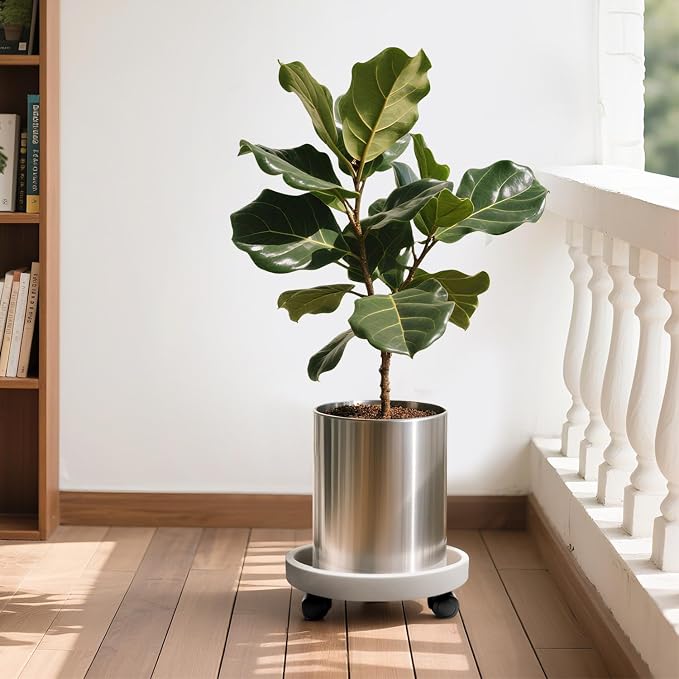 2Pack 13.98'' Plant Caddy with Wheels, Plant Stand Dolly for Heavy Planter,Wheeled Planter Saucer Tray,Rolling plant stand,Heavy-Duty Plant Caddy with Casters for Indoor and Outdoor(White)