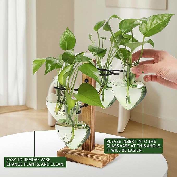 Plant Terrarium Propagation Stations with Wooden Stand | Glass Vase for Indoor Hydroponics Home Garden Office Decoration Gift for Women - 4 Love Bulb Vase