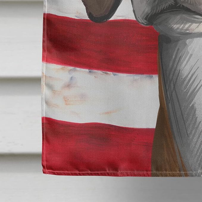 Caroline's Treasures CK6564CHF Hygenhund Dog American Flag House Flag Large Porch Sleeve Pole Decorative Outside Yard Banner Artwork Wall Hanging, Polyester, House Size, Multicolor
