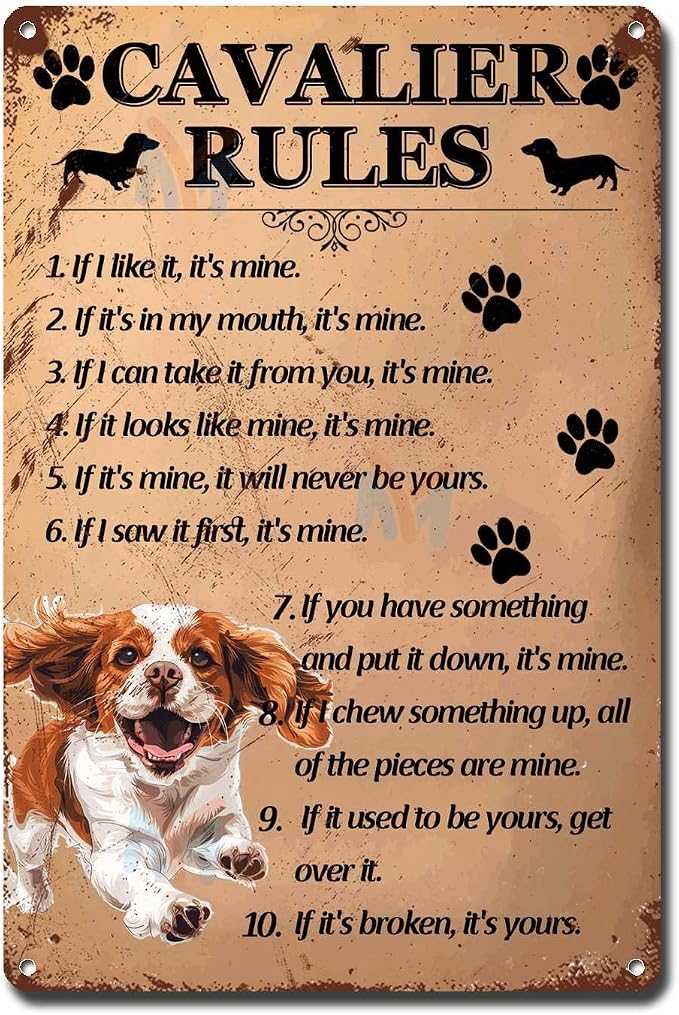 Metal Sign Tin Sign Vintage Wall Art Cavalier Rules Home Deccor Store Home Decor for Home Decor 8×12 Inches