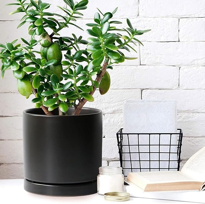 Yukfona Ceramic Plant Saucer Tray 4 Pcs 4 Inch Black, 4.53" OD x4.13 ID x0.9 Deep| Fits Flower pots Bottom≤ 4.13", Heavy Duty Glazed Round Planter Drip with Catch Basin for Indoor Outdoor Plants