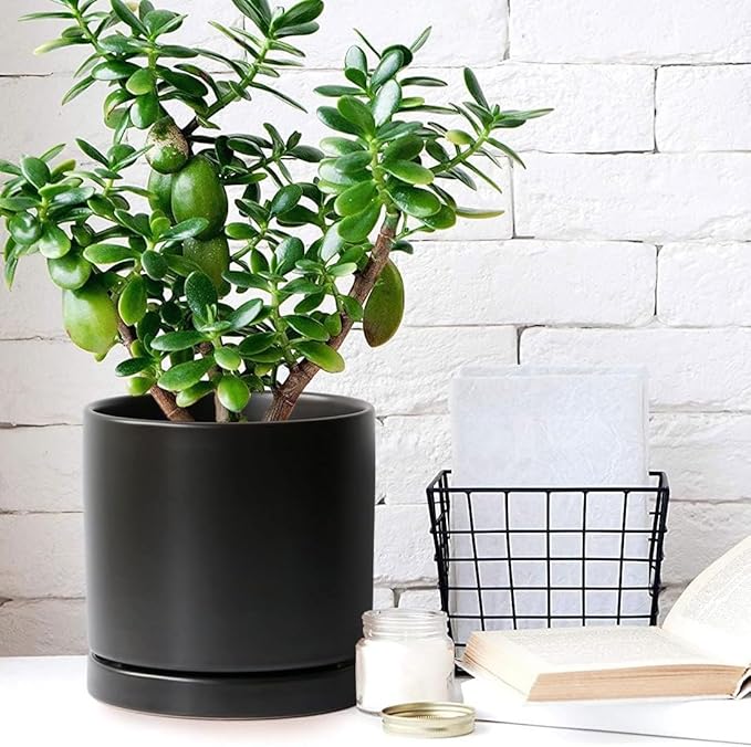 Yukfona Ceramic Plant Saucer Tray 2 Pcs 7 Inch Black, 7" OD x6.8 ID x0.9 Deep| Fits Flower pots Bottom≤ 6.8", Heavy Duty Glazed Round Planter Drip with Catch Basin for Indoor Outdoor Plants
