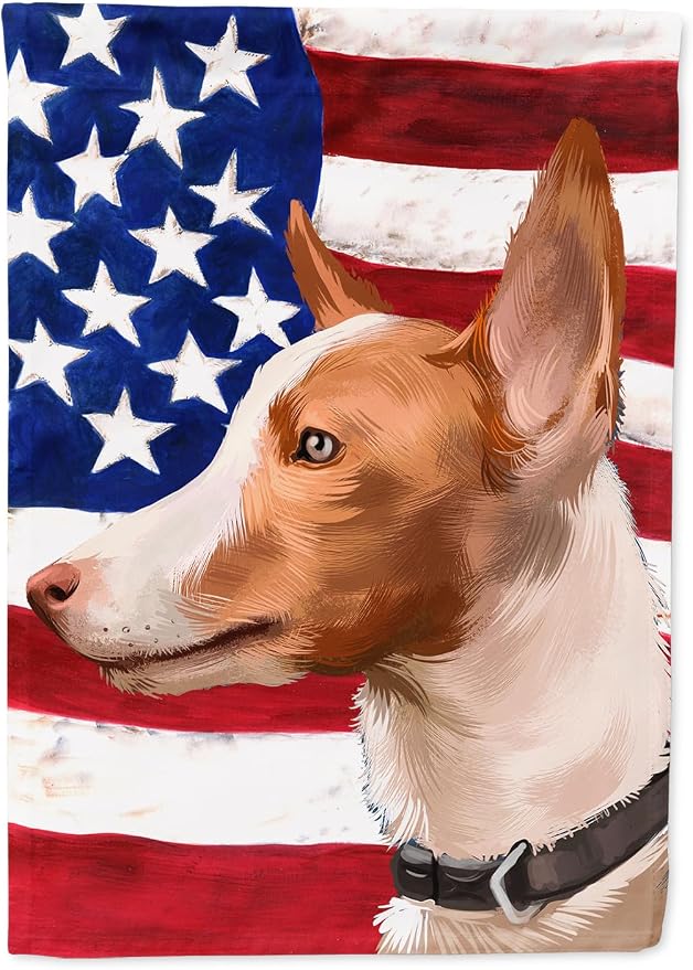 Caroline's Treasures CK6404CHF Andalusian Hound Dog American Flag House Flag Large Porch Sleeve Pole Decorative Outside Yard Banner Artwork Wall Hanging, Polyester, House Size, Multicolor