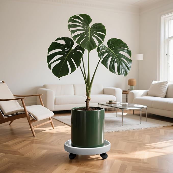 2Pack 13.98'' Plant Caddy with Wheels, Plant Stand Dolly for Heavy Planter,Wheeled Planter Saucer Tray,Rolling plant stand,Heavy-Duty Plant Caddy with Casters for Indoor and Outdoor(White)