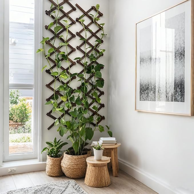 Expandable Garden Trellis, 13" x 68" Thickened Wooden Lattice Trellis for Climbing Plants Outdoor Ivy Vine Rose Clematis for Garden Fence Wall Patio Room Decor (1Pcs Brown)