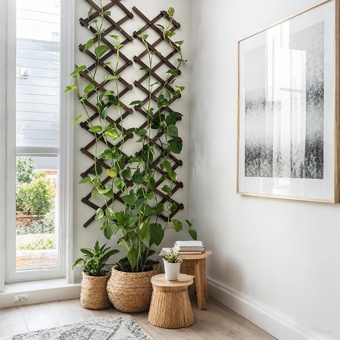 4Pcs Expandable Garden Trellis, 13" x 68" Thickened Wooden Lattice Trellis for Climbing Plants Outdoor Ivy Vine Rose Clematis for Garden Fence Wall Patio Room Decor (4Pcs Brown)