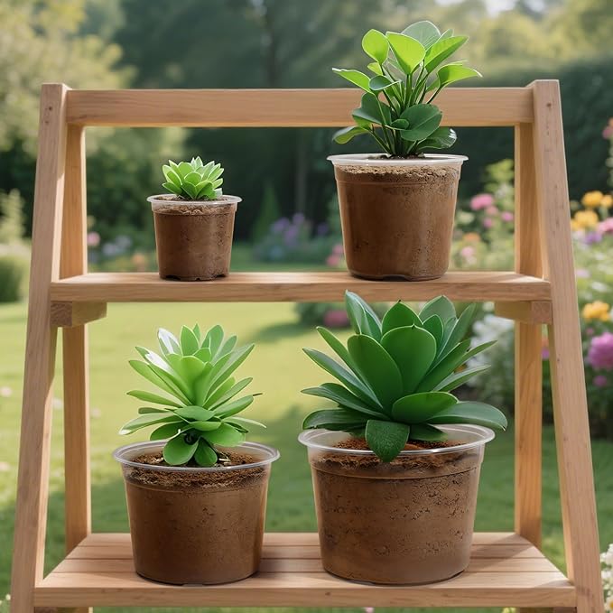 8 Inch Large Size Clear Nursery Pots with Drainage Holes, 10 Packs Plastic Pots for Plants, Transparency Durable Seedling Starter Pot for Succulents Flowers Herb Vegetables