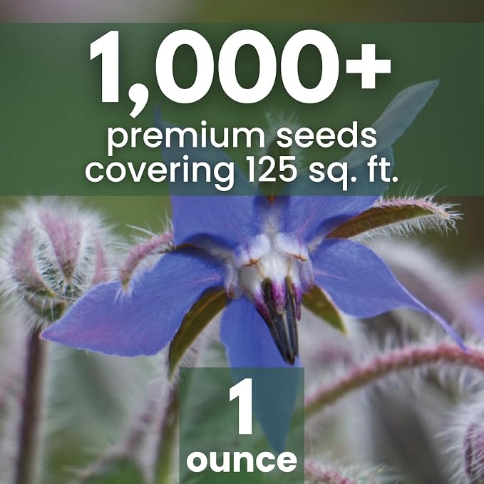 Borage – 1,000 Seeds for Planting – 2026 Season – 1 Ounce Pouch