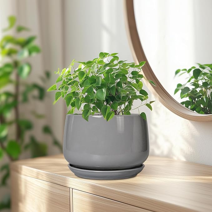 G EPGardening Modern Ceramic Planter - 7 Inch Round Modern Plant Pot Indoor with Drainage and Ceramic Tray Indoor Outdoor for Flower, Vanity Decor, Birthday Gifts, Grey