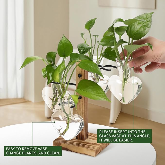 Plant Terrarium Propagation Stations with Wooden Stand | Glass Vase for Indoor Hydroponics Home Garden Office Decoration Gift for Women - 4 Love Bulb Vase