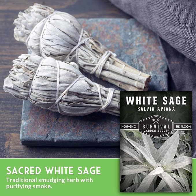 Survival Garden Seeds White Sage Seeds for Planting, 1 Pack | Salvia Apiana Seed, Native California Plant for Warm Dry Gardens & Smudging Herbs - Open-Pollinated Variety