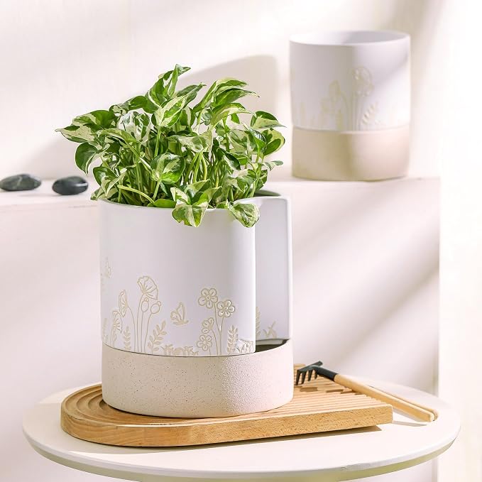 Nihow Self Watering Pots for Indoor Plants,8 Inch,White & Nature | Hand Painting,Ceramic Planter, Drainage Hole & Water Storage Plus, Cylinder Round Flower Pot, For Succulent/Herbs/Violets