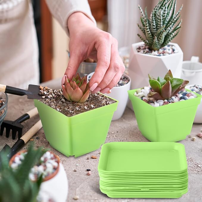 Amyhill 100 Pcs 4 Inch Flower Pots Square Plants Nursery Pot Plastic Plant Seedling Pots Small Nursery Transplanting Planter Container with Saucer for Indoor Succulent Balcony Garden (Green)