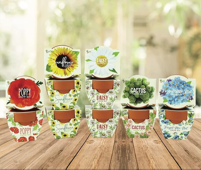 BUZZY Seeds Mini Terracotta Grow Kit 12-Pack - Mini Terracotta Pot Grow Set - Complete Indoor/Outdoor Gardening Kit with Seeds, Coconut Husk Growing Medium & Genuine Pots - 100% Grow Guarantee