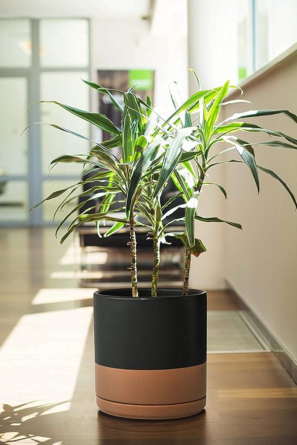 D'vine Dev 8 Inch & 10 Inch Ceramic Planter Pot for Plants with Drainage Hole and Saucer, Large Plant Pots Set, Black/Speckled Tan, 94-G-L-7