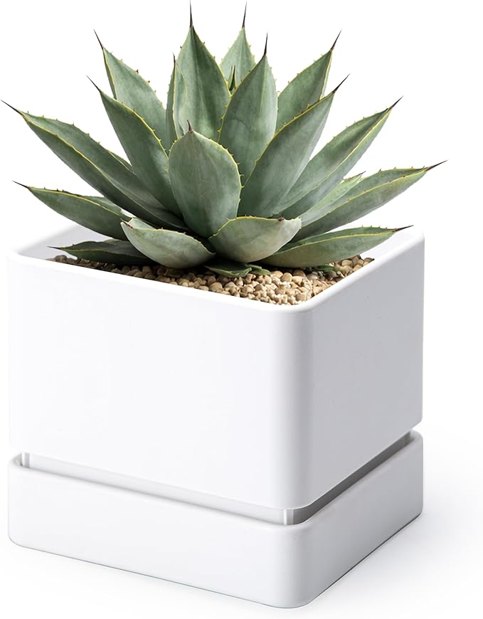 D'vine Dev 6 Inch Herb Planter Pot, Plastic Planter with Drainage Holes and Saucer, Modern Decorative Gardening Pot for Indoor Plants, Flowers, Herbs, Succulents, White, Set of 1, 76-Y-A1-2