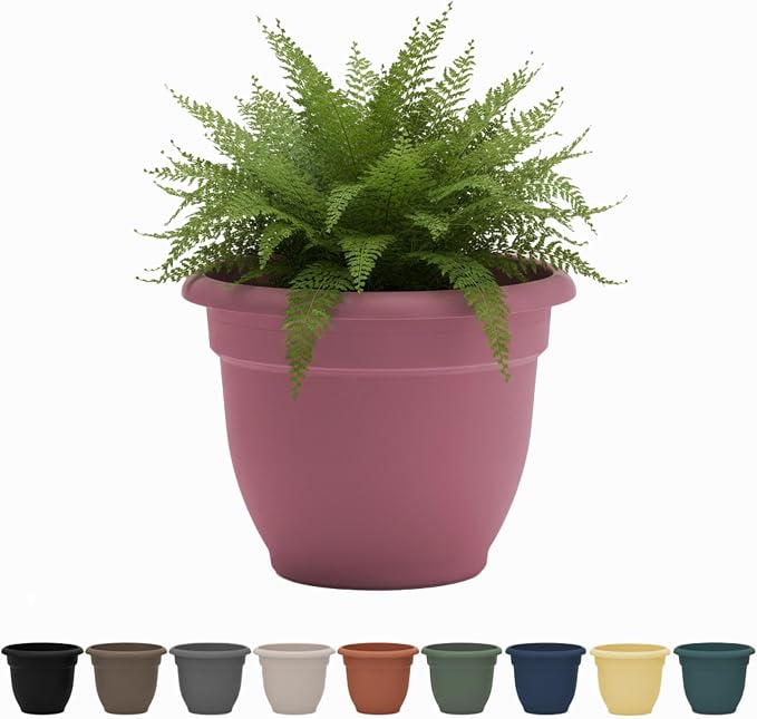 Bloem Ariana 10" Self-Watering Plastic Planter - Rolled Rim Indoor/Outdoor Garden Pot, Dusty Rose