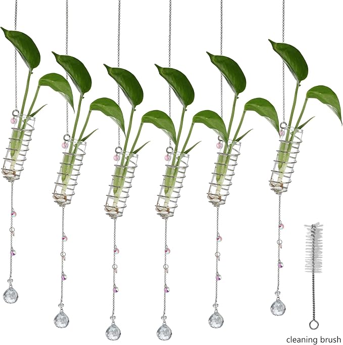 6Pcs Hanging Plant Propagation Station with Crystal Ball Prisms Suncatcher | Window Hanging Propagation Station and Cleaning Brush, Glass Plant Suncatcher for Indoor Wall Gifts for Plants Lovers(Silver)