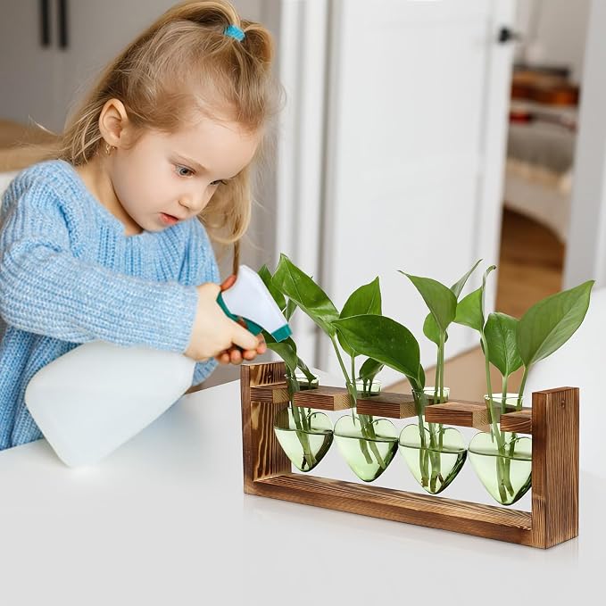 Plant Propagation Stations Heart Plant Terrarium Kit | Gift for Women Plant Lover Glass Vases