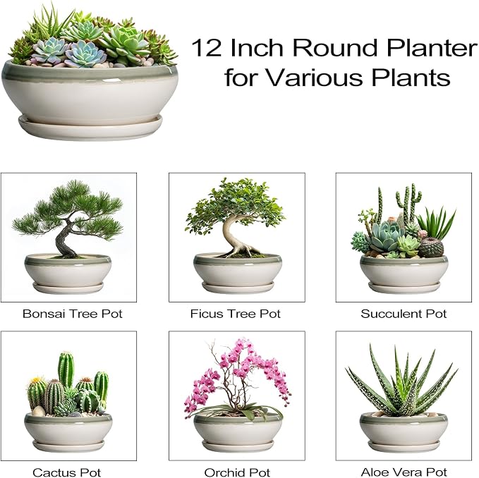 SQOWL Large Succulent Planters - 12 Inch Ceramic Bonsai Pots with Drainage Hole and Saucer, Shallow Round Planter for Indoor Plants, Bowl Planter Outdoor, Living Room Decor, Birthday Gift, Gray-Beige