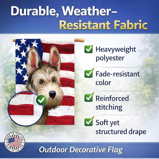 Caroline's Treasures CK6432CHF Berger Picard Dog American Flag House Flag Large Porch Sleeve Pole Decorative Outside Yard Banner Artwork Wall Hanging, Polyester, House Size, Multicolor